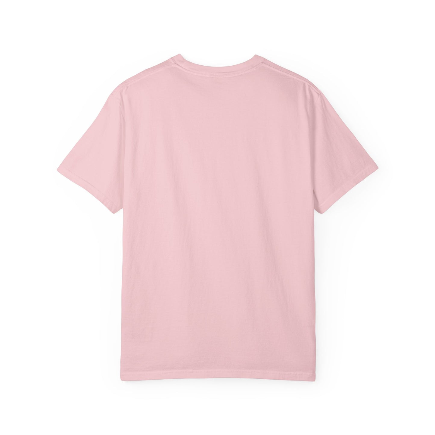 TSG Unisex Garment-Dyed T-shirt