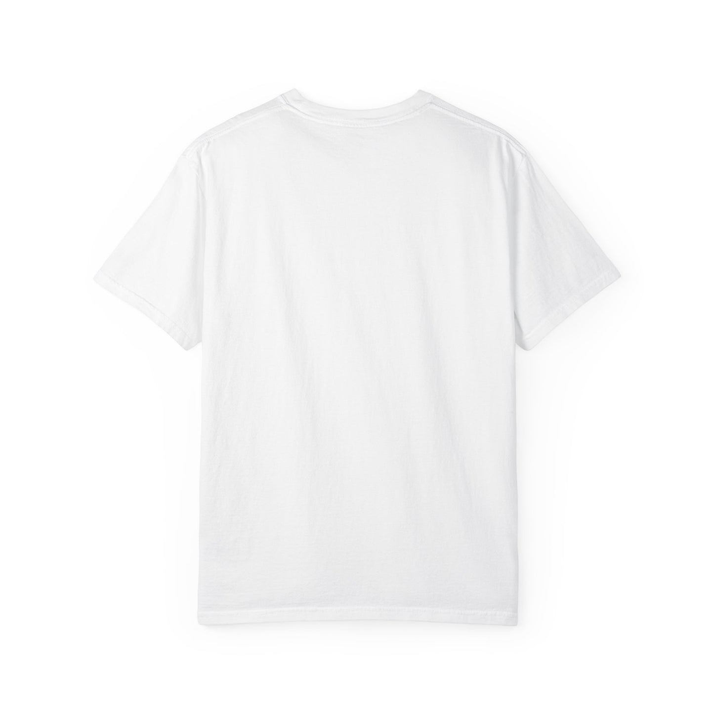 TSG Unisex Garment-Dyed T-shirt